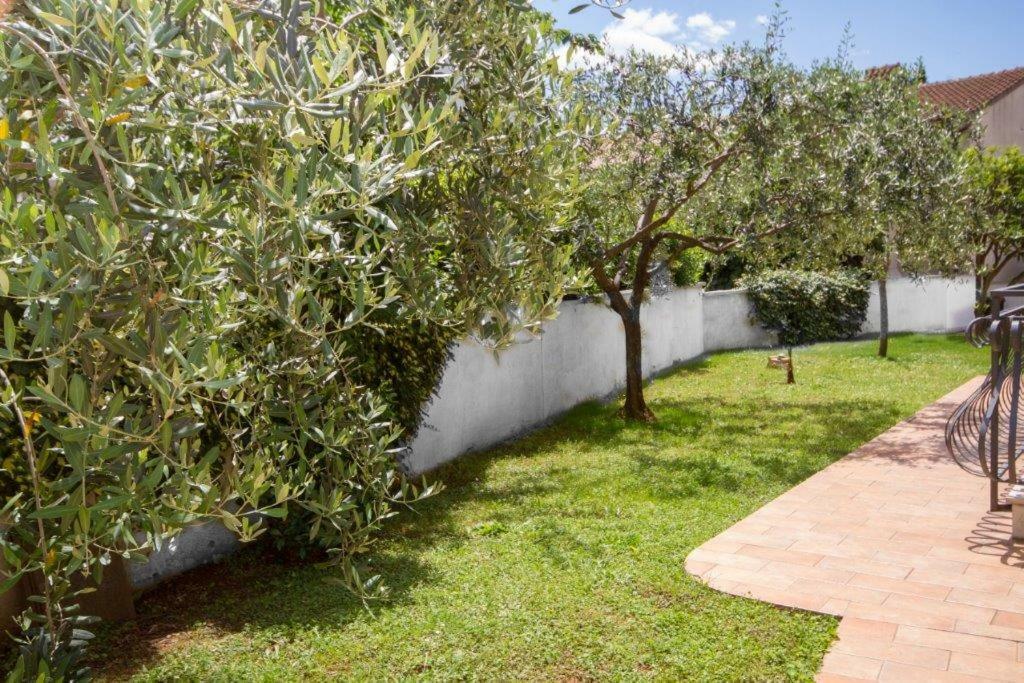 Villa Sveta Eufemija - Bed And Breakfast Rovinj Exterior foto